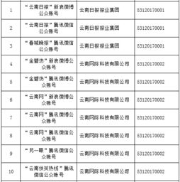 云南信息報(bào)旗下六產(chǎn)品獲首批互聯(lián)網(wǎng)新聞信息服務(wù)許可，賦能區(qū)域信息服務(wù)新格局